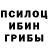Псилоцибиновые грибы ЛСД barbare kolbaia