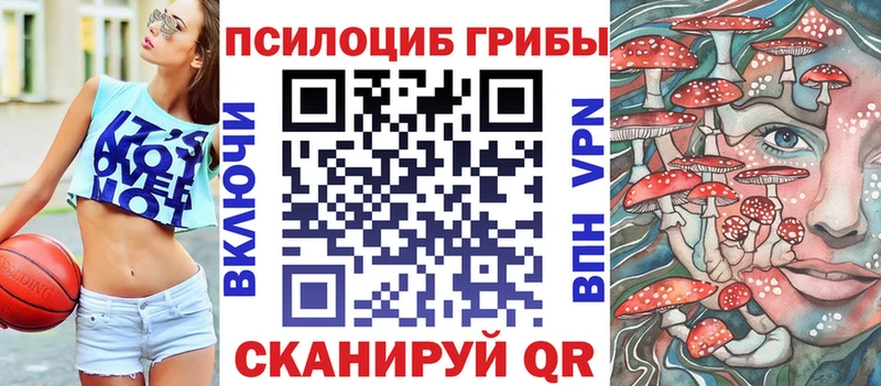 закладки  Южа  Псилоцибиновые грибы GOLDEN TEACHER 